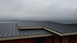 Professional Roofing Service  in La Palma, CA